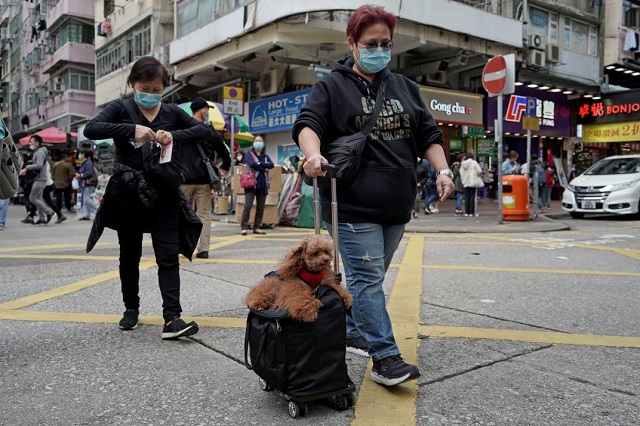 Perros y gatos no pueden transmitir coronavirus, pero pueden contagiarse de sus dueños