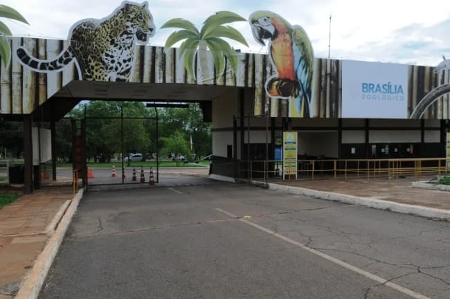 Brasilia cierra el zoológico y despliega una barrera sanitaria preventiva ante la gripe aviar