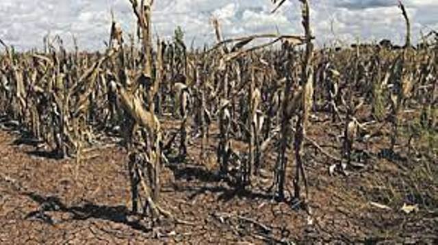 Aseguran que La Niña finalizará en febrero y se esperan lluvias para la próxima quincena 