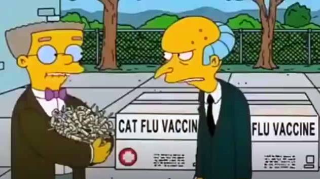 Creer o reventar: Los Simpson predijeron la «vacunación VIP»