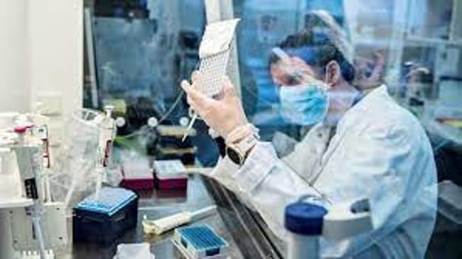 La OMS advirtió la detección de una nueva variante de coronavirus en la Argentina