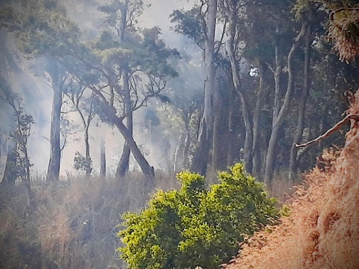 Solicitan extremar cuidados para evitar incendios forestales y de pastizales