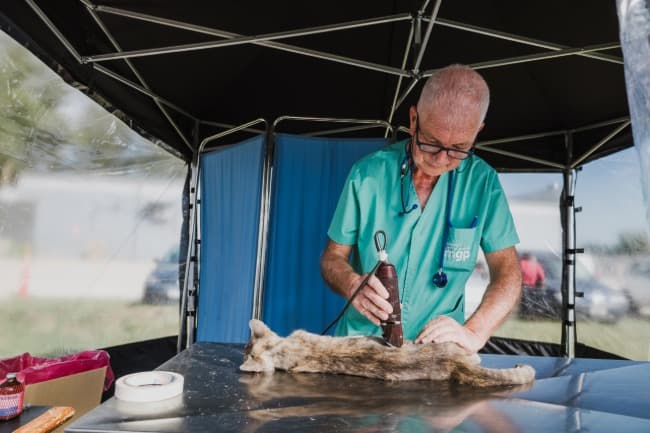 Nuevas ubicaciones de los quirófanos móviles para animales