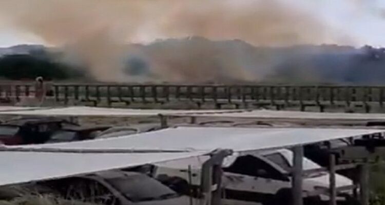 Controlaron el incendio en la Reserva Natural del Puerto