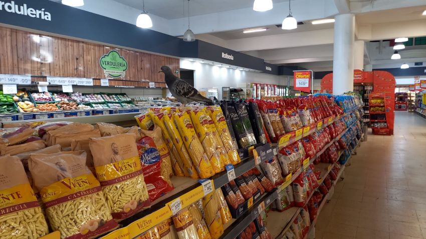 La inflación bajó casi dos puntos en junio: fue del 6%