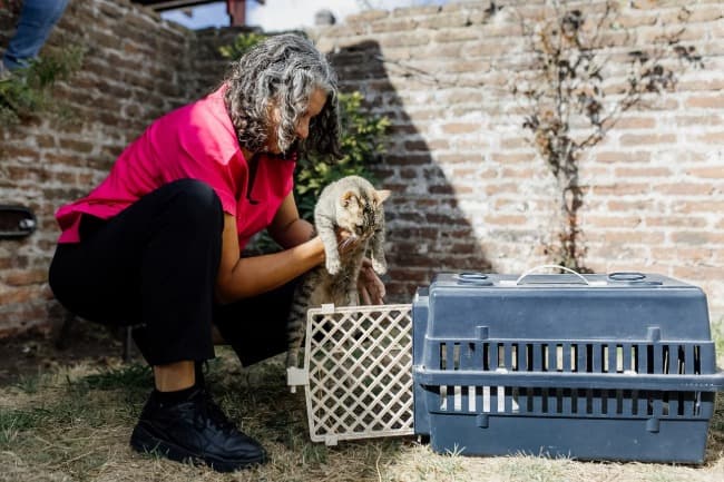 El Municipio rescató  mascotas que se encontraban en condiciones inadecuadas de habitabilidad
