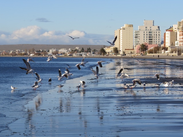 Planeta Madryn: Naturaleza sin límites y excelentes experiencias hoteleras y gastronómicas