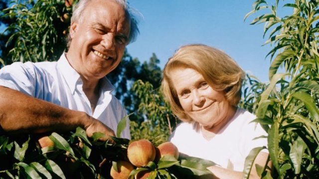 Mónica y César, premiados por haber cultivado el «Durazno de oro»