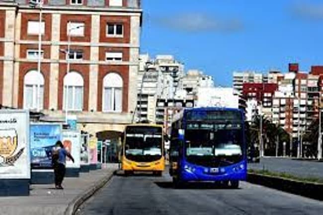 Tarifa del boleto plano de colectivo: consideran un valor de casi 187 pesos