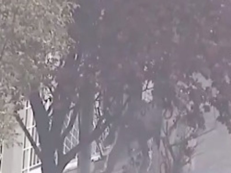 Video: Forzó la reja de un comercio y fue detenido