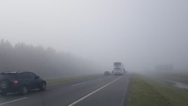 A pesar de la niebla, las rutas hacia la costa están muy transitadas