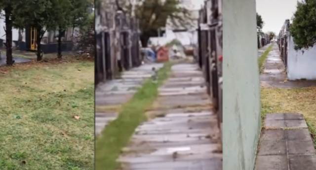 Espeluznante aparición de un «bebé ángel» fue filmada en un cementerio municipal