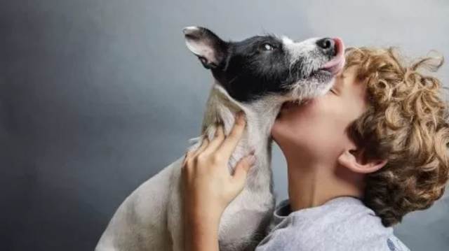 Los 8 hábitos que te van a ayudar a alargar la vida de tu perro