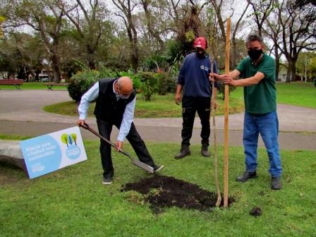 Comenzó la plantación de árboles en el marco del Forestar 2021 en 50 barrios 