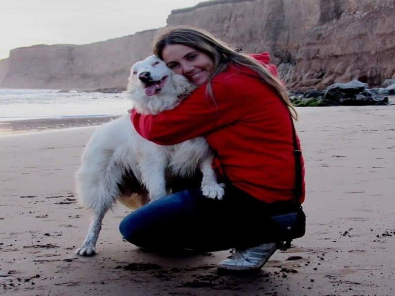 El desesperado pedido de una rescatista marplatense para que le devuelvan dos perros