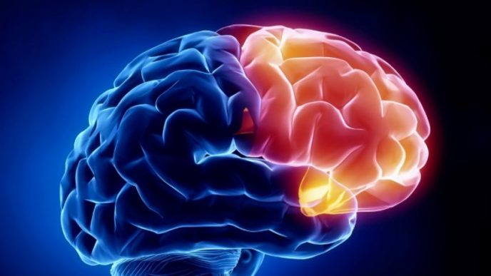 ¿El Covid reduce el tamaño del cerebro? Sale a la luz un alarmante informe