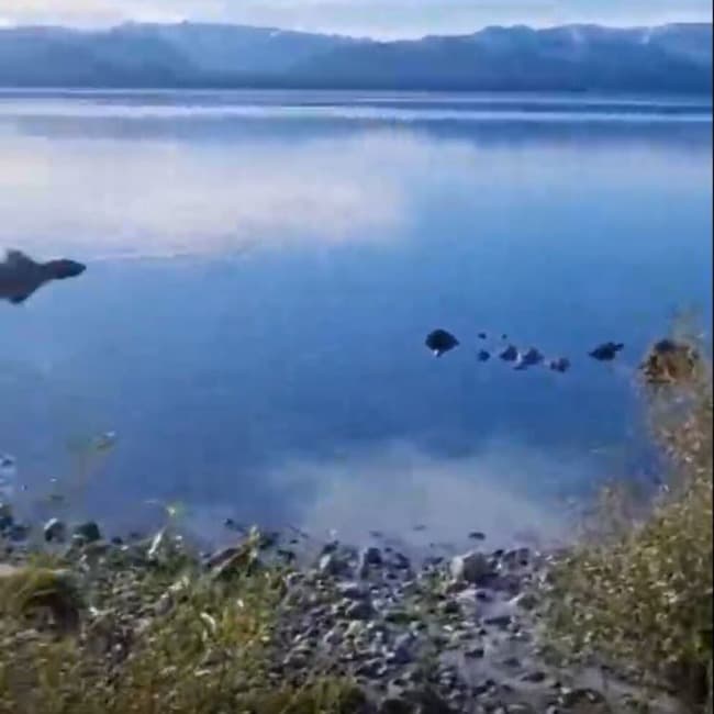 Alertaron por la presencia de sustancias contaminantes en el lago Nahuel Huapi