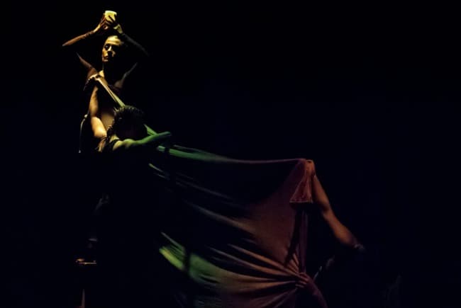 Leia Cuatro compañias, cuatro funciones, cuatro meses