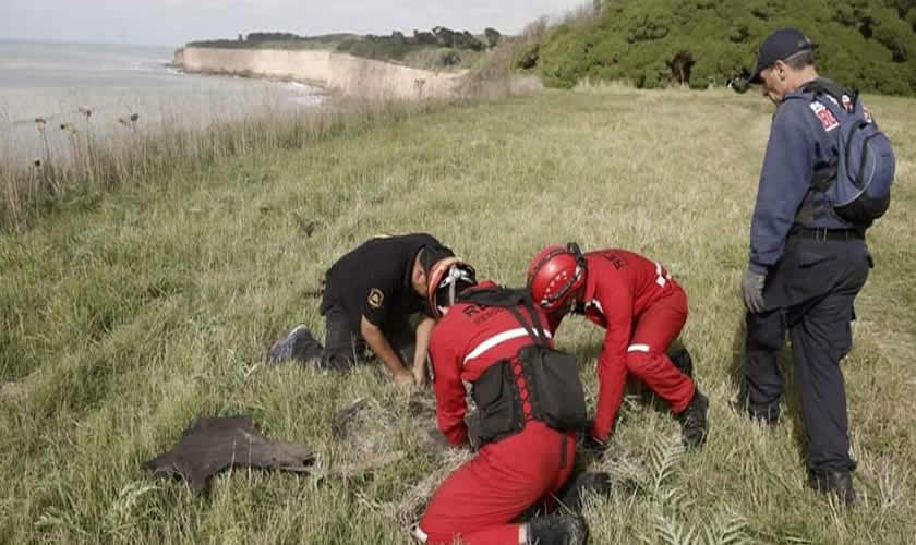 La autopsia reveló que Claudia Repetto fue asesinada a golpes