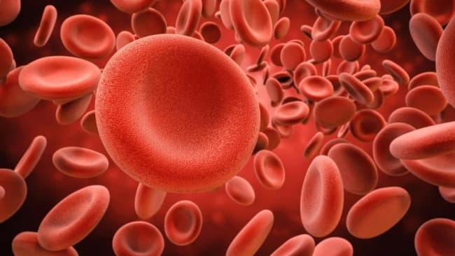 Leia Se detectan más de 30 casos de cáncer de la sangre por día en la Argentina