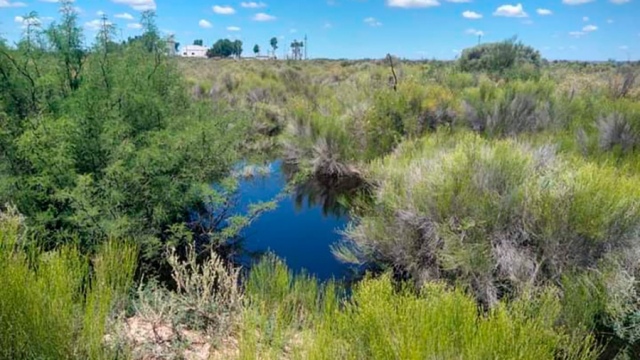 Advierten que el derrame de petróleo en Río Negro producirá un fuerte impacto ambiental