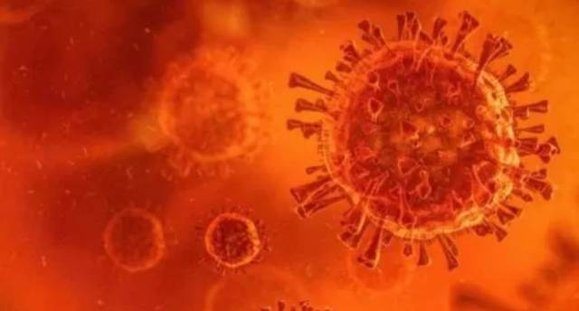Coronavirus: ¿Qué es el 