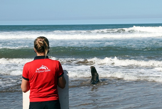 Así volvió Gisela al mar