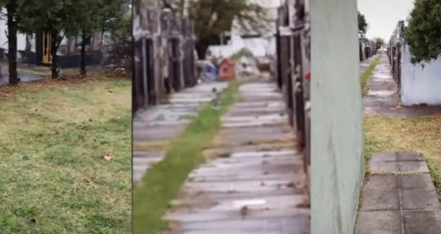 Espeluznante aparición de un “bebé ángel” fue filmada en un cementerio municipal