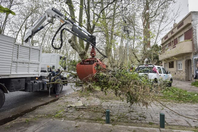 El Municipio retiró más de 130 toneladas de terrenos privados 