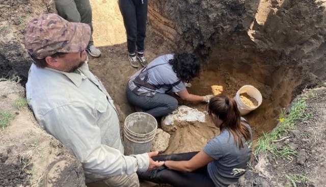 Profesionales del «Museo Scaglia» continúan con las tareas de rescate en Necochea