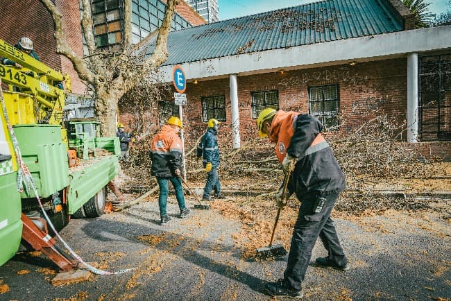 El Municipio intervino en casi 600 emergencias por árboles o ramas caídas en la vía pública