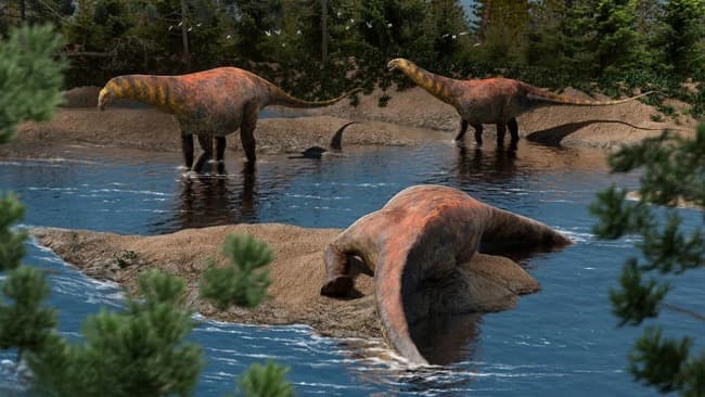 Leia Descubren en Neuquén una nueva especie de dinosaurio que vivió hace 95 millones de años