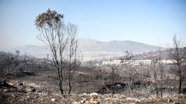 Calentamiento Global: El fuego amenaza los suburbios de Atenas