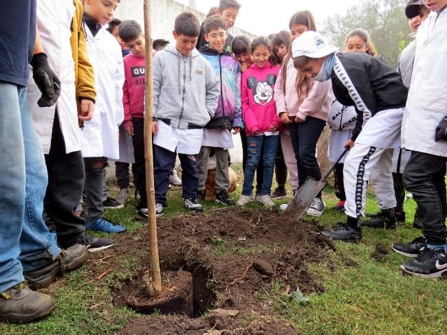 El Municipio continúa impulsando la plantación de árboles de la ciudad