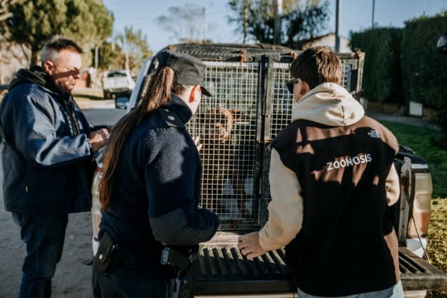 El Municipio rescató dos animales víctimas de abandono del barrio Regional