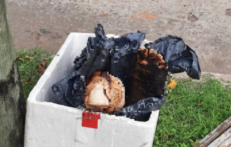 Horror y misterio por el hallazgo restos de un cuerpo humano