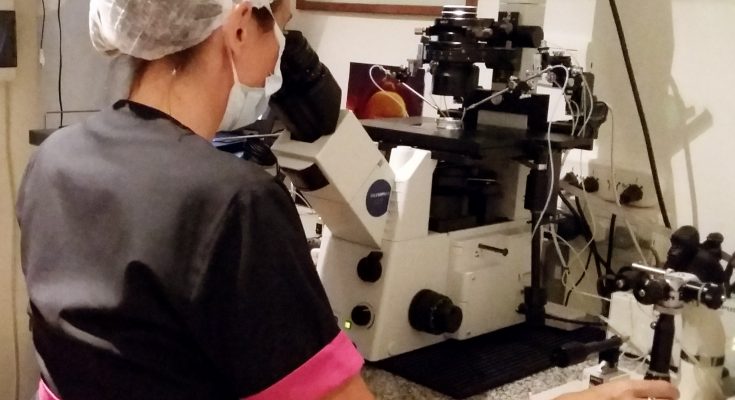 Llega el primer microscopio láser para tratamientos de reproducción asistida