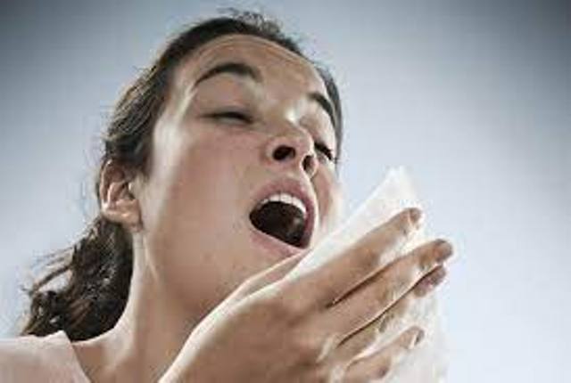 Alergias en ésta época del año. Todo lo que tenes que saber