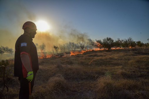 Casi 60 incendios forestales en dos días en General Pueyrredon