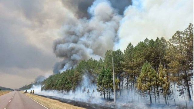 Las lluvias comienzan a dar esperanza en la lucha contra los incendios en Corrientes