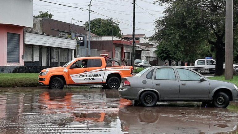 Consecuencias del temporal: Árboles caídos y zonas sin luz por el viento y la lluvia 