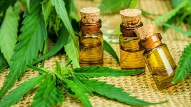 Realizarán en Mar del Plata la primera Cumbre Internacional de Cannabis y Cáñamo