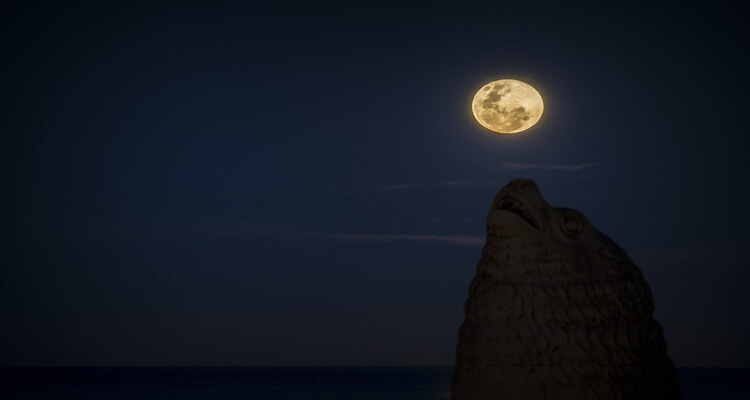 Fenómeno astronómico: La luna Lobo