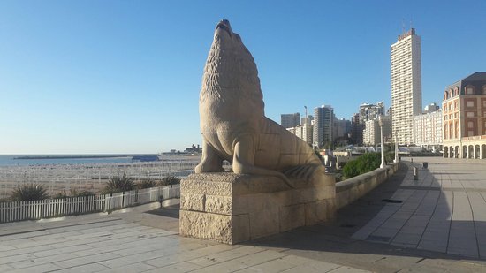 Mar del plata atraviesa una «tensión sanitaria» 