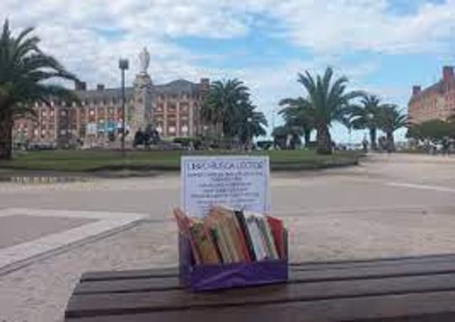 Casa de 20 vuelve a sembrar libros con la llegada del Verano