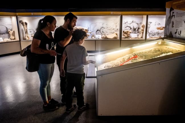 Programación de marzo en el Museo Scaglia: historia natural, muestras y actividades especiales