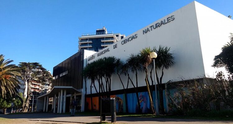 Reabre el Museo de Ciencias Naturales Lorenzo Scaglia