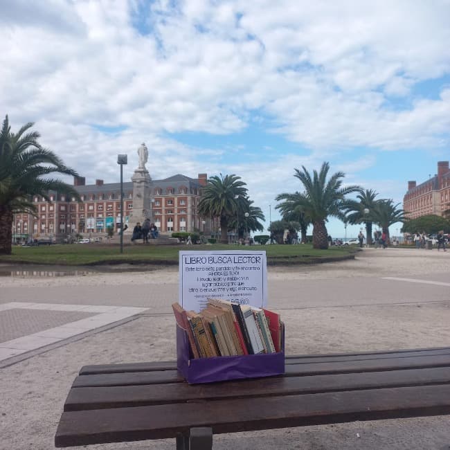 Llega el invierno y la ONG «Casa de 20» se prepara para la Siembra de Libros N° 24 