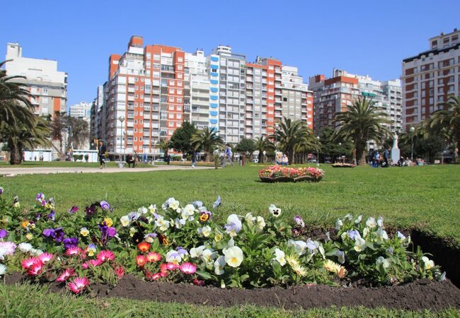 Arrancó la temporada: opciones, precios y protocolos en Mar del Plata