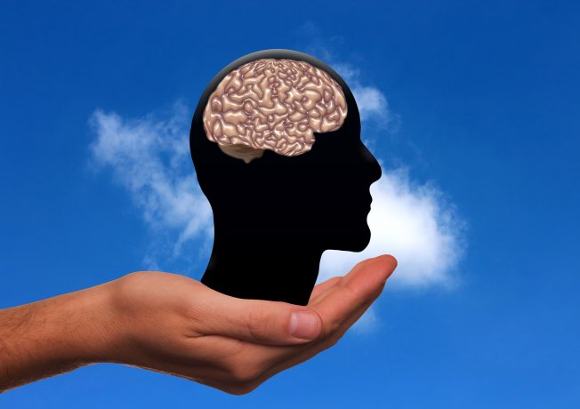 Lo confirmó la ciencia: el 